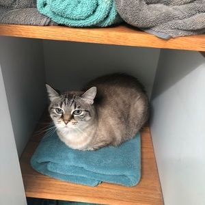 Meet your Posher, Eric